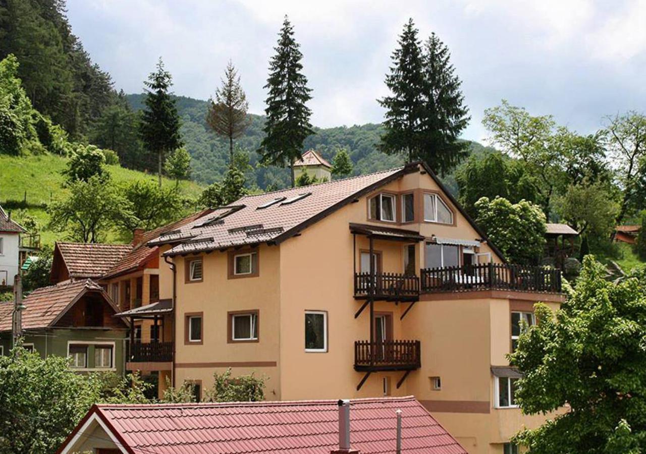 ホテル Casa Cristina ブラショフ エクステリア 写真